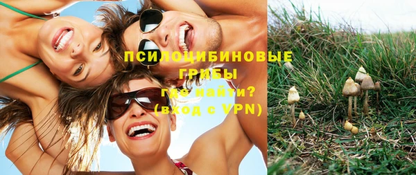 кристаллы Богородск