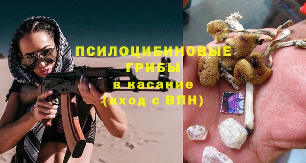 дурь Богородицк