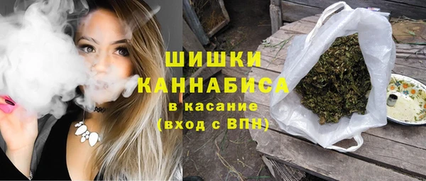 дурь Богородицк